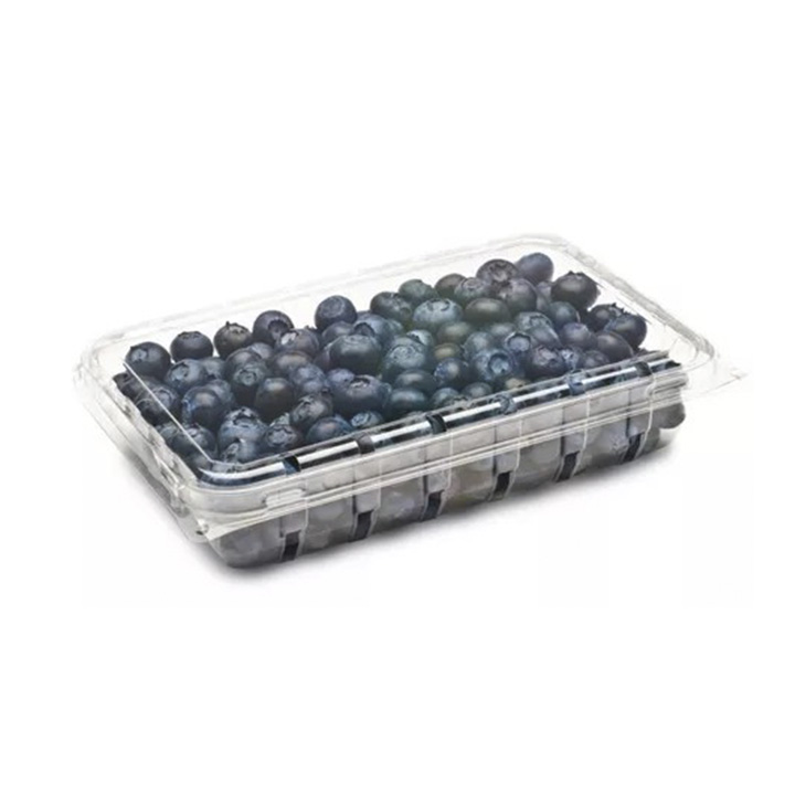 Clamshell 1/2 kg arandano (0403)